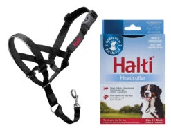 HALTI Headcollar Zwart 4
