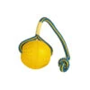 Starmark Swing N Fling Fetch Ball 10x9x32cm L -Savic Winkel p8258 vad 11071 everlasting swing n fling fetch ball 10x9x32cm l 1