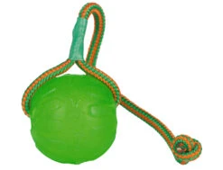 Starmark Swing N Fling Chew Ball 9x9x46cm L
