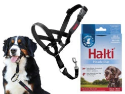 HALTI Headcollar Zwart 5